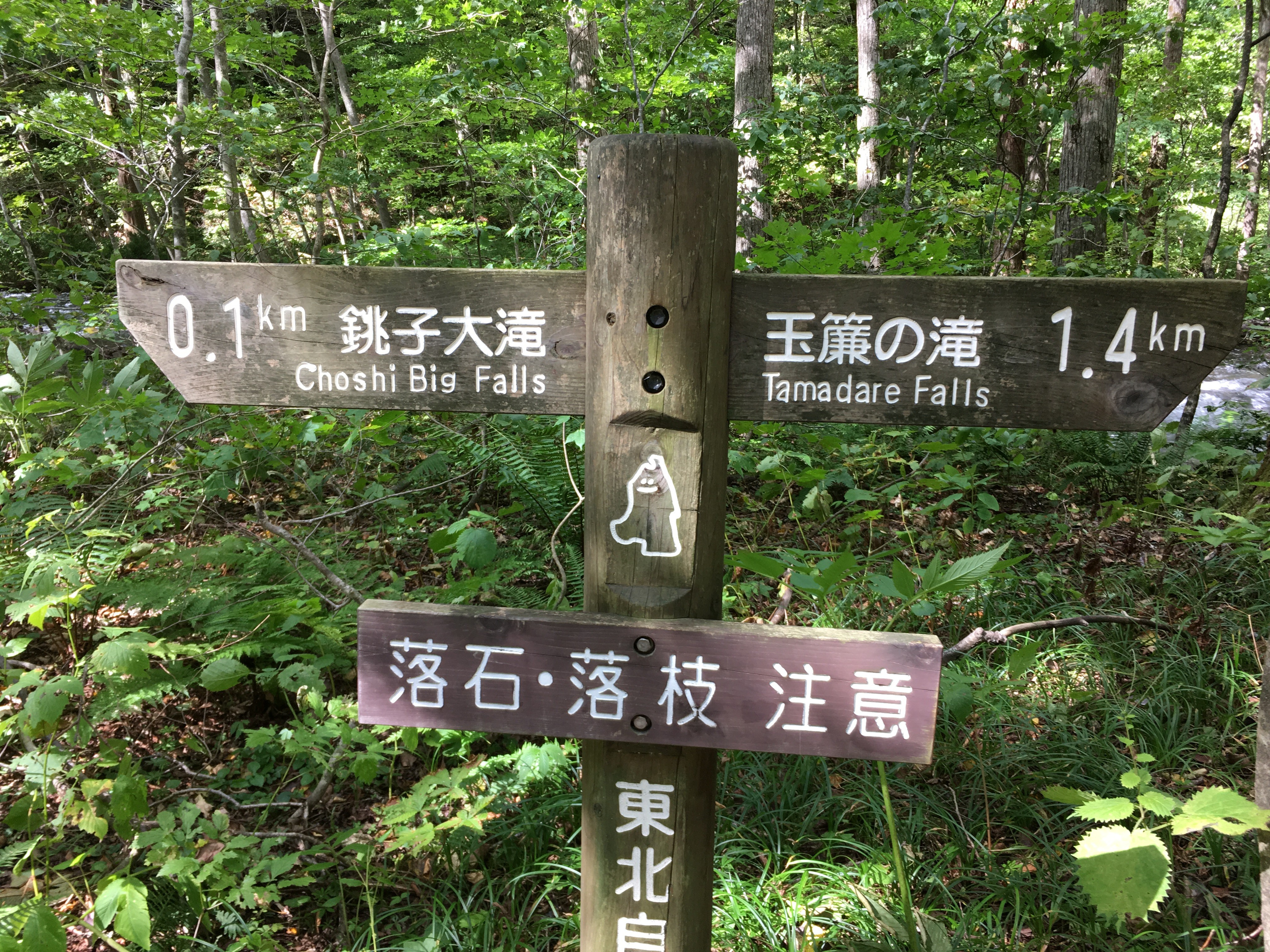 ←銚子大滝　→玉簾の滝